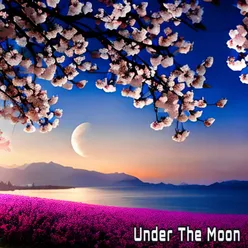 Under the moon