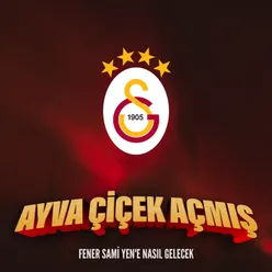 Ayva Çiçek Açmış