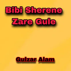 Bibi Sherene Zare Gule