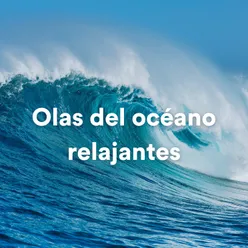 Olas Del Océano Relajantes