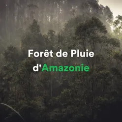 Forêt de pluie d'Amazonie