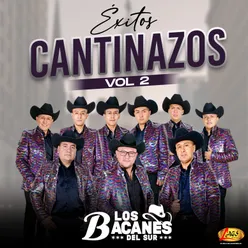 Exitos Cantinazos, Vol.2