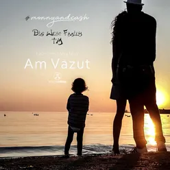 Am Vazut