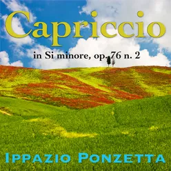 Capriccio in Si minore, Op. 7, No. 2