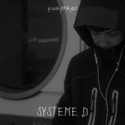 Système D