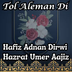 Tol Aleman Di