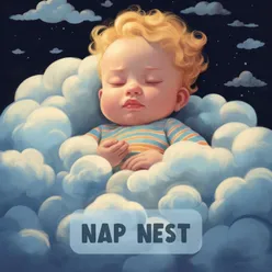 Nap Nest