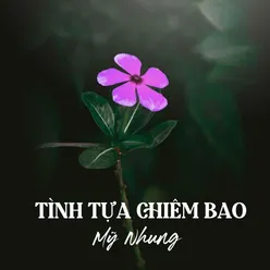 Tình tựa Chiêm Bao