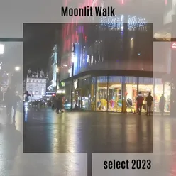 Moonlit Walk Select 2023