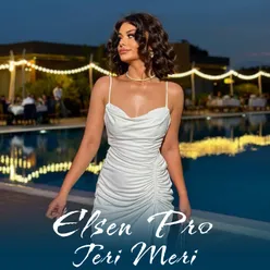 Teri Meri