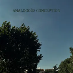 Analogous Conception