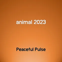 animal 2023 - Play & Download All MP3 Songs @WynkMusic