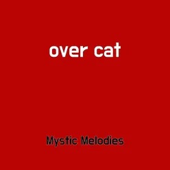 over cat