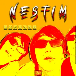 Nestim