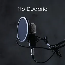 No Dudaría