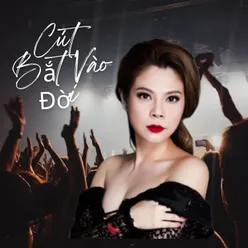 Cút Bắt Vào Đời