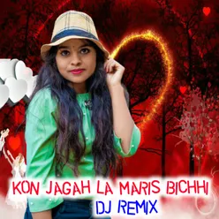 Kon Jagah La Maris Bichhi Dj Remix | Baiga Jhar Dena Ga Cg Song