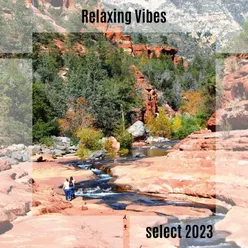 Relaxing Vibes Select 2023