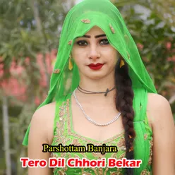 Tero Dil Chhori Bekar