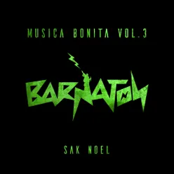 Musica Bonita, Vol. 3