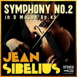 Symphony No.2 in D Major, Op.43: I. Allegretto