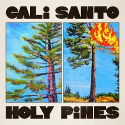 Holy Pines