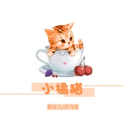 小橘猫