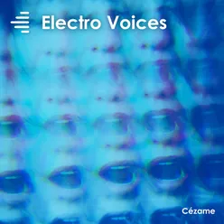 Electro Voices
