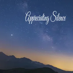 Appreciating Silence