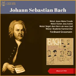 Johann Sebastian Bach: Motetten