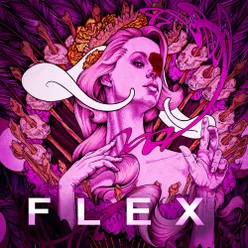 FLEX INTRO