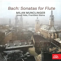 Sonata for Flute and Harpsichord in B Minor, BWV 1030: I. Andante