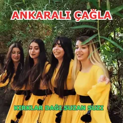 Fincanın Etrafı Sarı