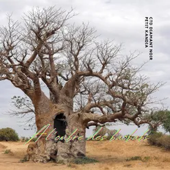 à l'ombre des baobabs