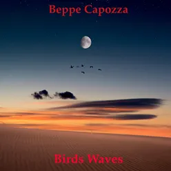 Birds Waves