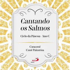 Ó Pai, em tuas mãos, eu entrego o meu espírito – Salmo 31(30)