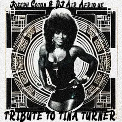 Tribute To Tina Turner