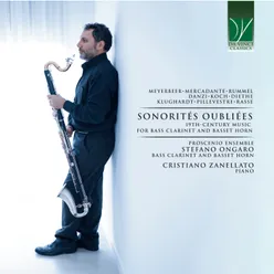 Grande Sonate pour Piano-Forte & Cor de Bassette in D Minor, Op. 62: I. Larghetto