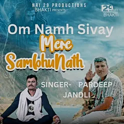 Om Namah Shivay Mere Shambhunath