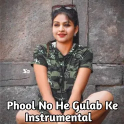 Phool Nohe Gulab ke Instrumental