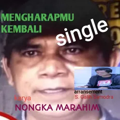 Mengharapmu Kembali