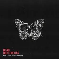 Dead Butterflies 🦋