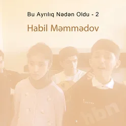 Bu Ayrılıq Nədən Oldu - 2