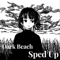 dark beach - sped up