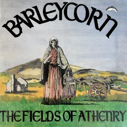 Fields Of Athenry