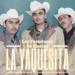 La Yaquesita