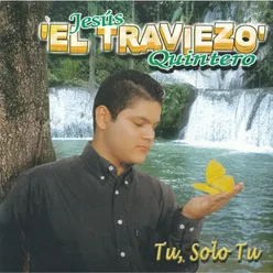 Tu, Solo Tu