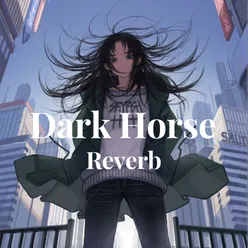 Dark Horse Reverb