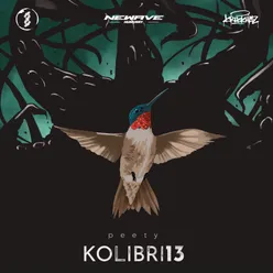 Kolibri13