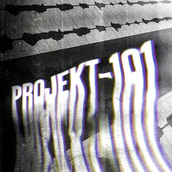Projekt-101